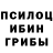 Псилоцибиновые грибы Psilocybine cubensis crz666