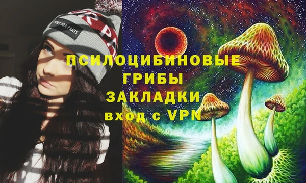 стафф Алексин