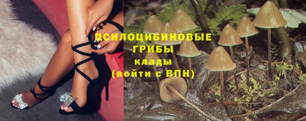 синтетический гашиш Алексеевка