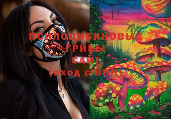 синтетический гашиш Алексеевка