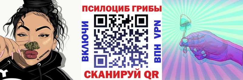 наркотики  Апшеронск  Псилоцибиновые грибы MAGIC MUSHROOMS 